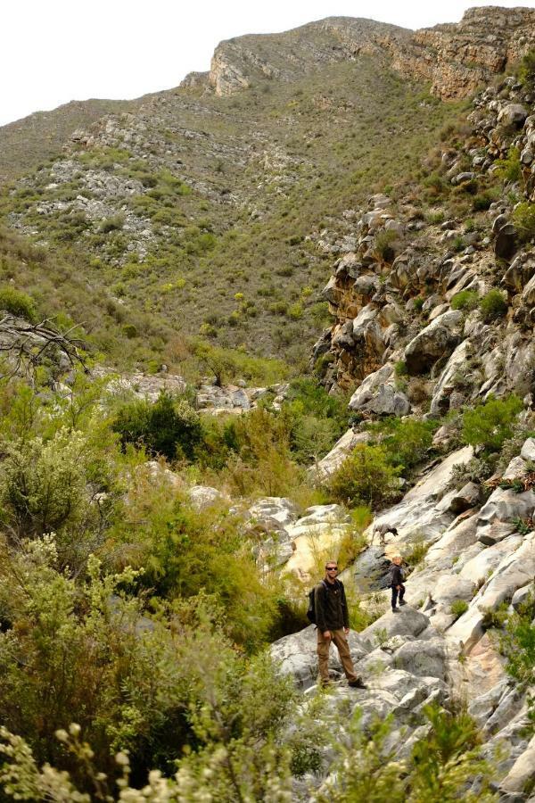 Kingfisher Cottages, Langhoogte Farm Montagu Exteriér fotografie